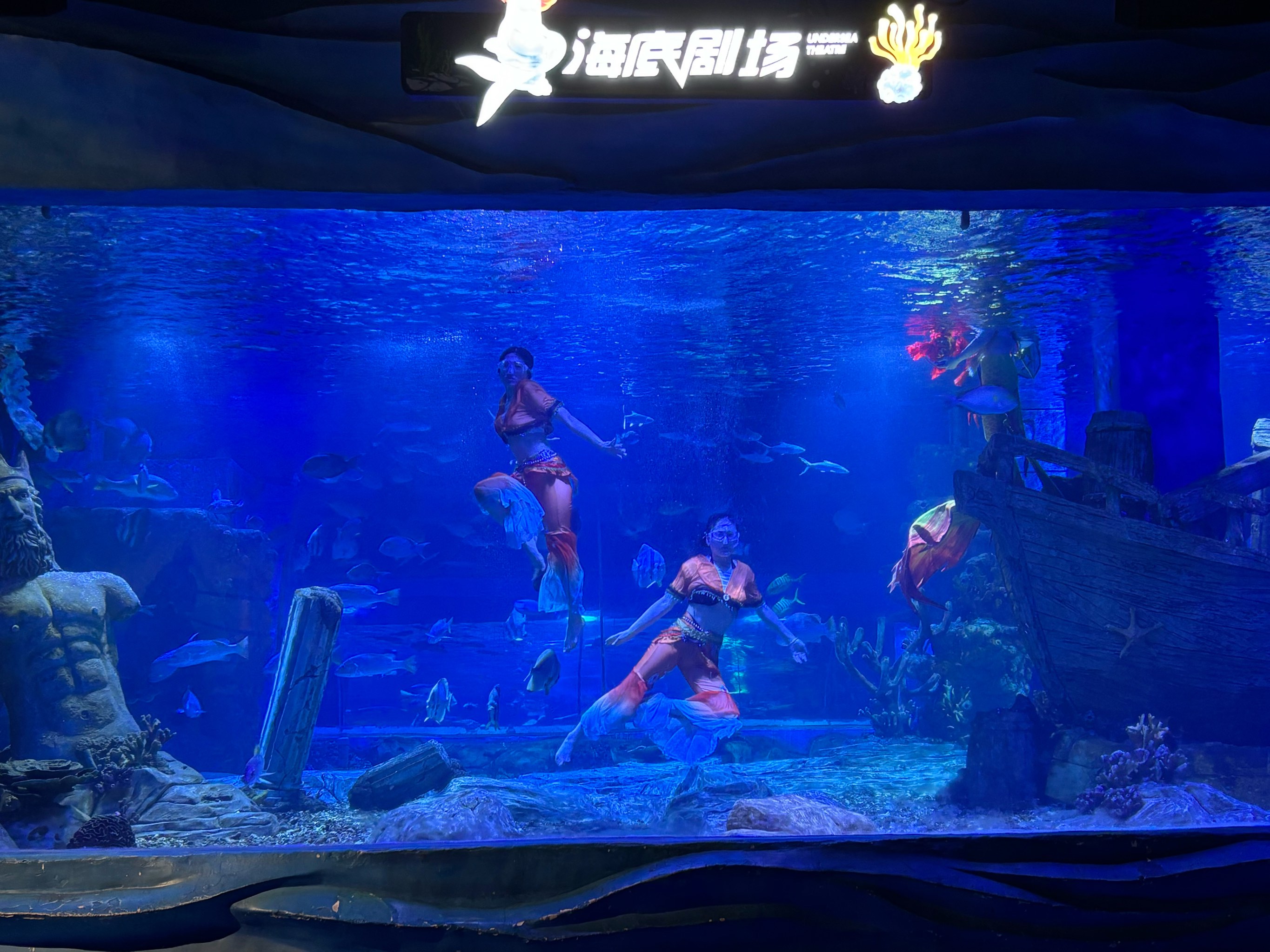 关于特色海域潜水乐园，探索海底奇观的神秘之门的信息