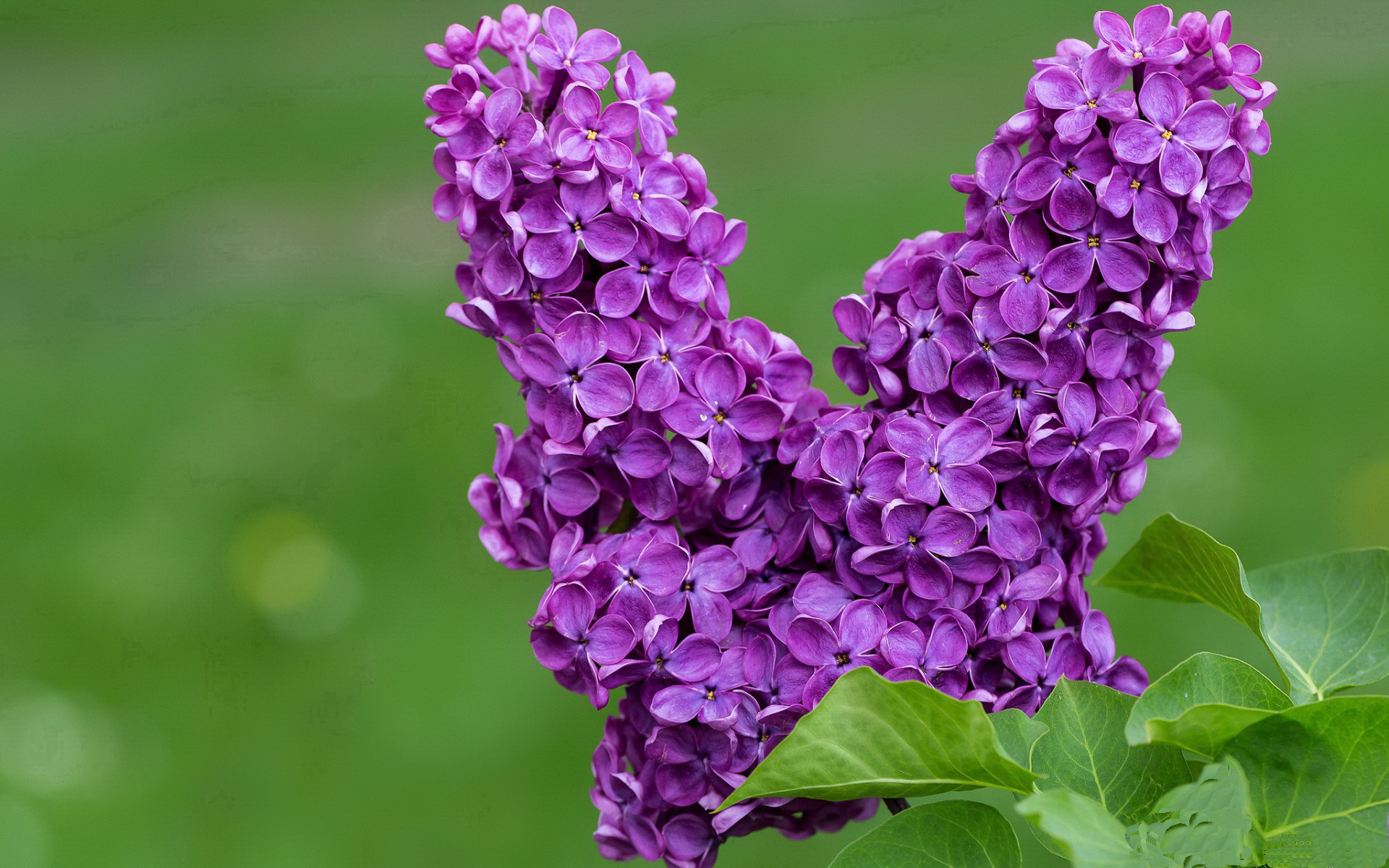 开云平台-骑士公布社区计划联合本地学校合作