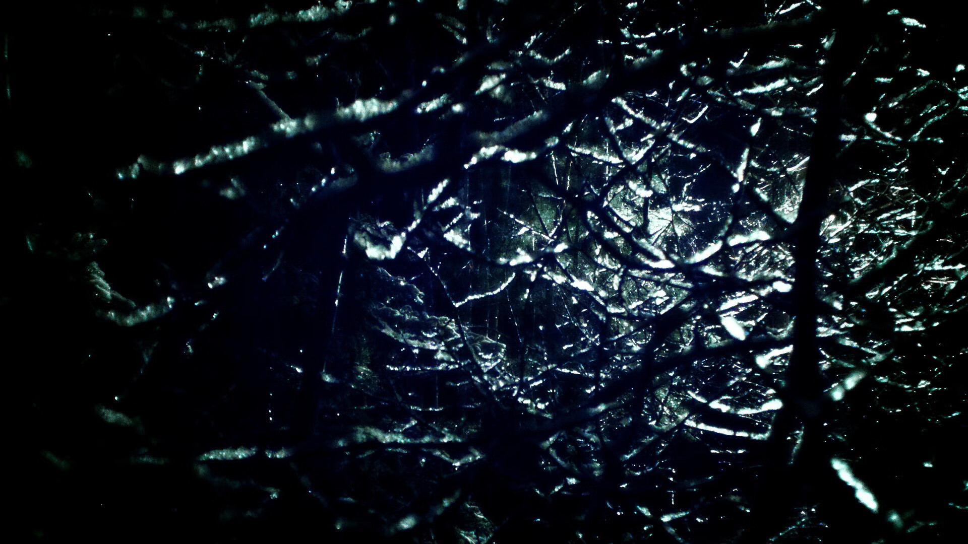 马刺新星伤愈归队主帅称其为关键拼图，马刺新人